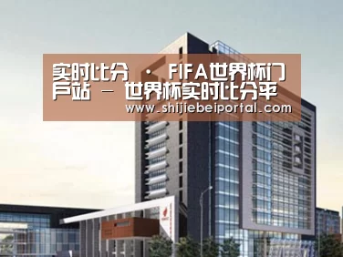 案例展示七